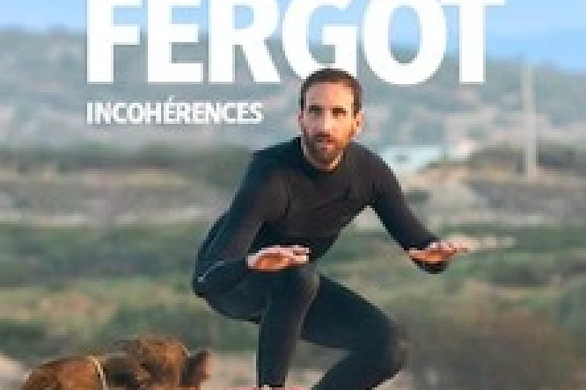 Sylvain Fergot - Incohérences
