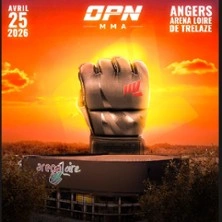 One Punch Night - 1ère Edition