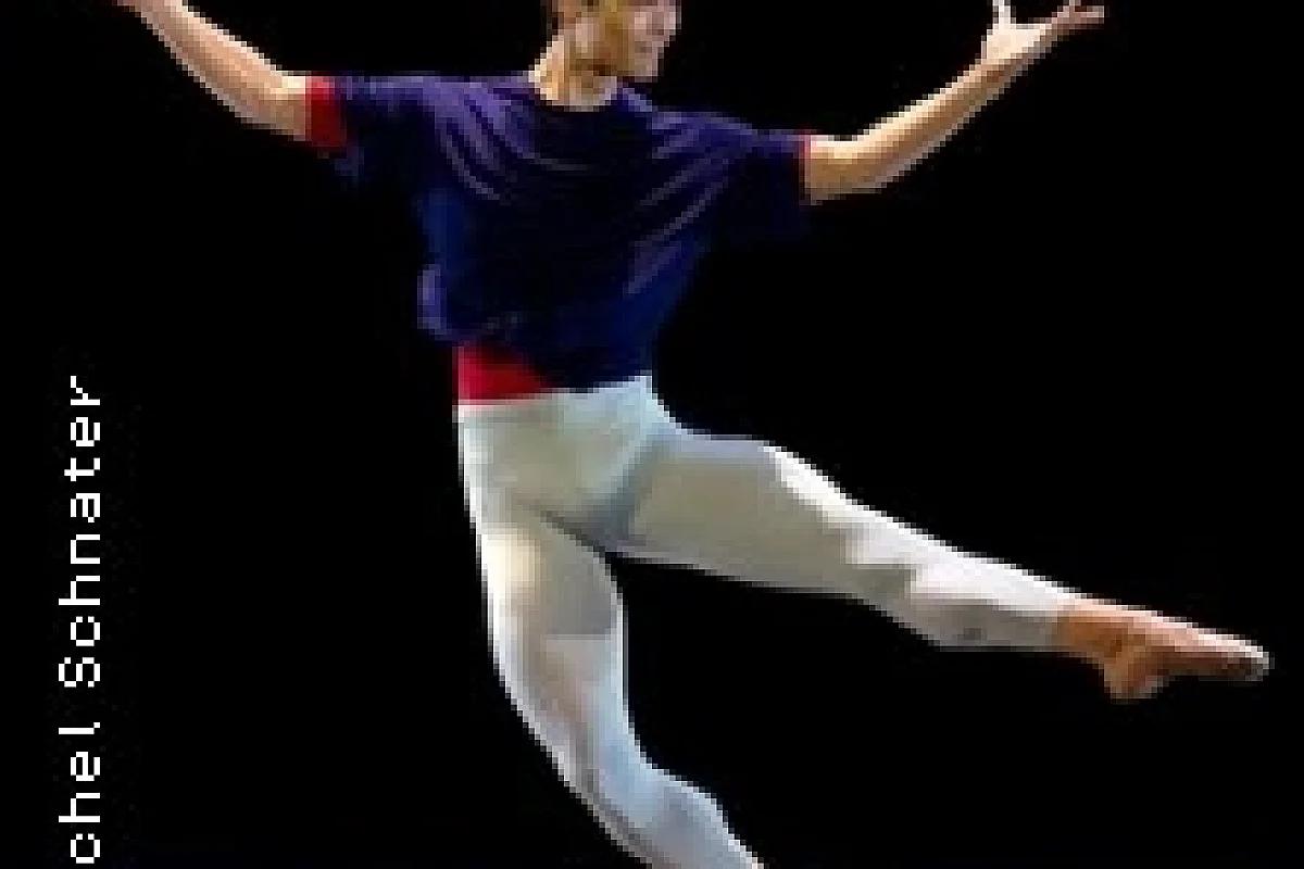 Hans Van Manen - Dutch National Ballet - Théâtre des Champs-Elysées