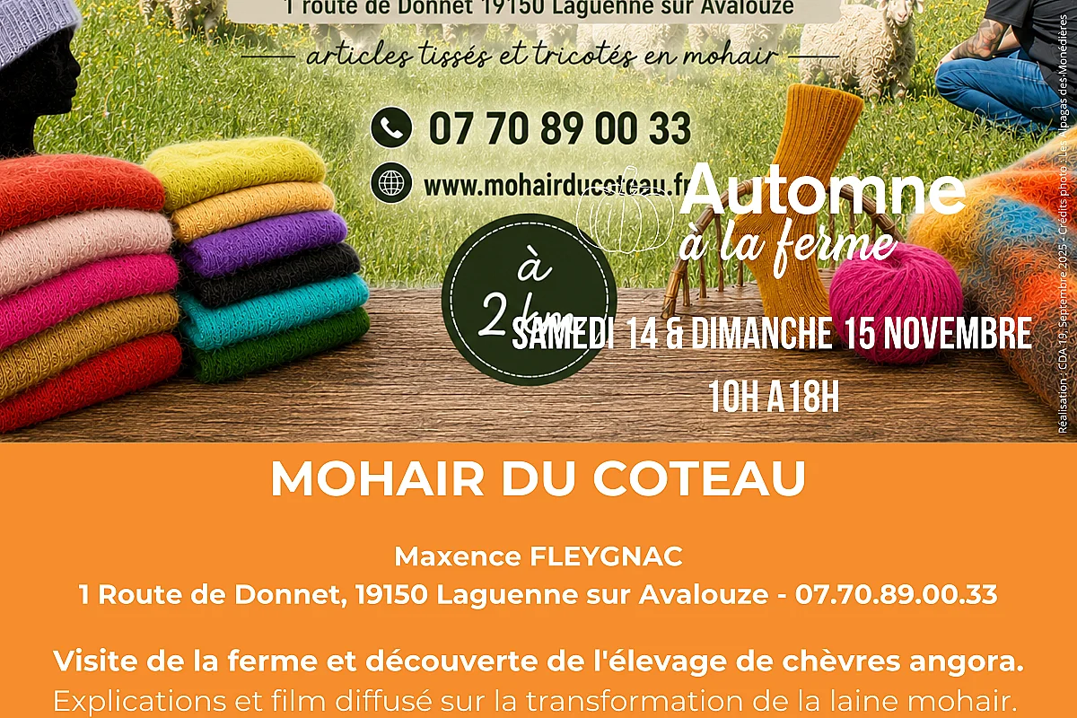 Automne à la Ferme - Mohair du Coteau
