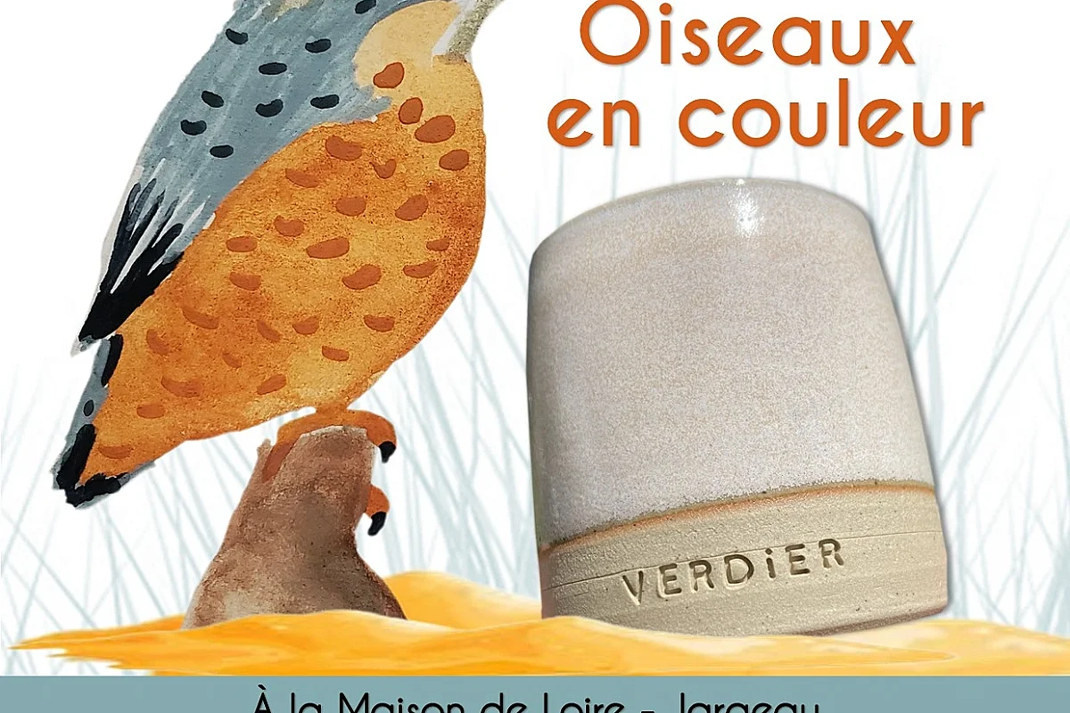 Exposition de la Maison de Loire : Oiseaux en couleur