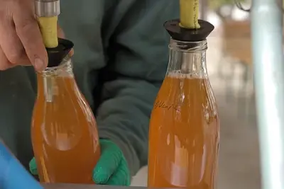 Journée Pressage Jus de Pommes et Poires