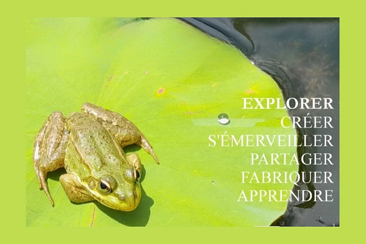 La biodiversité à Bretou