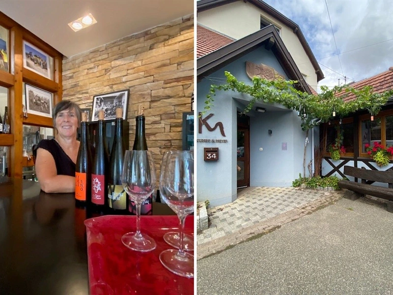 De la vigne au verre : le vin nature