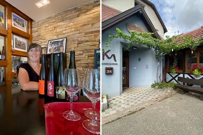De la vigne au verre : le vin nature