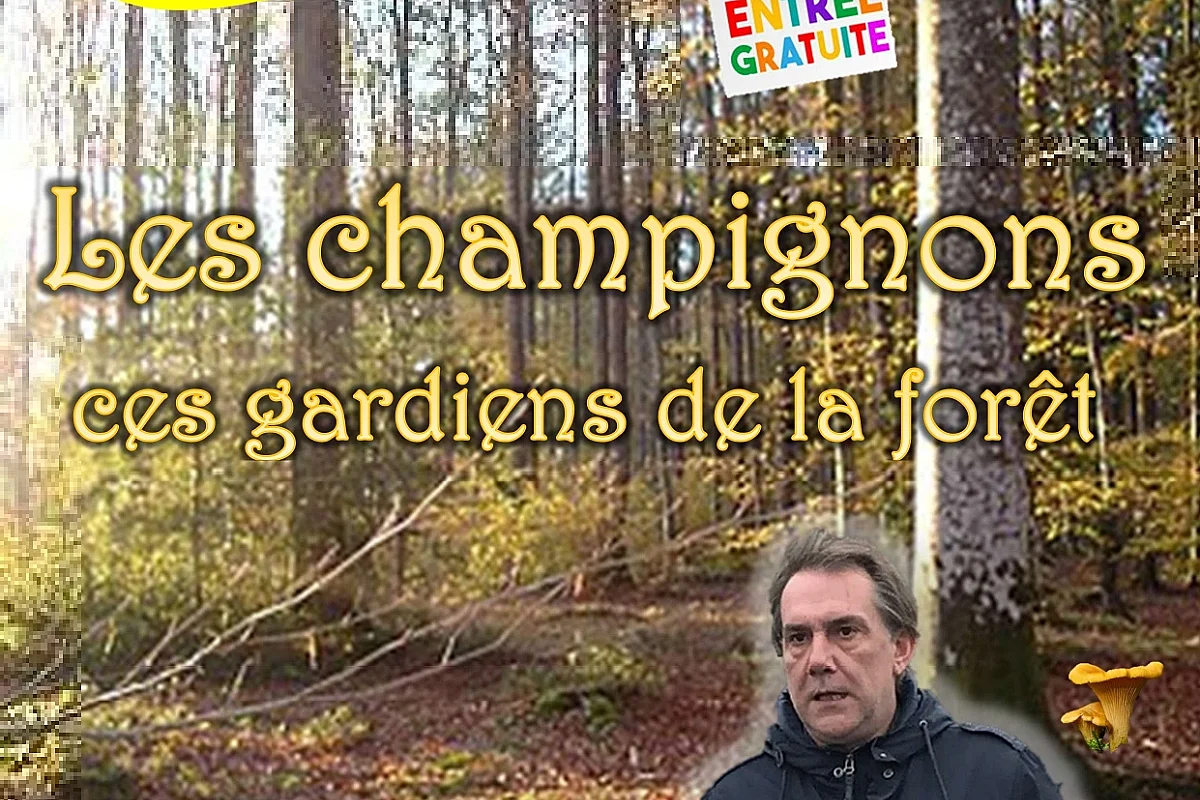 Apéritif & Conférence sur les champignons - ces gardins de la forêt