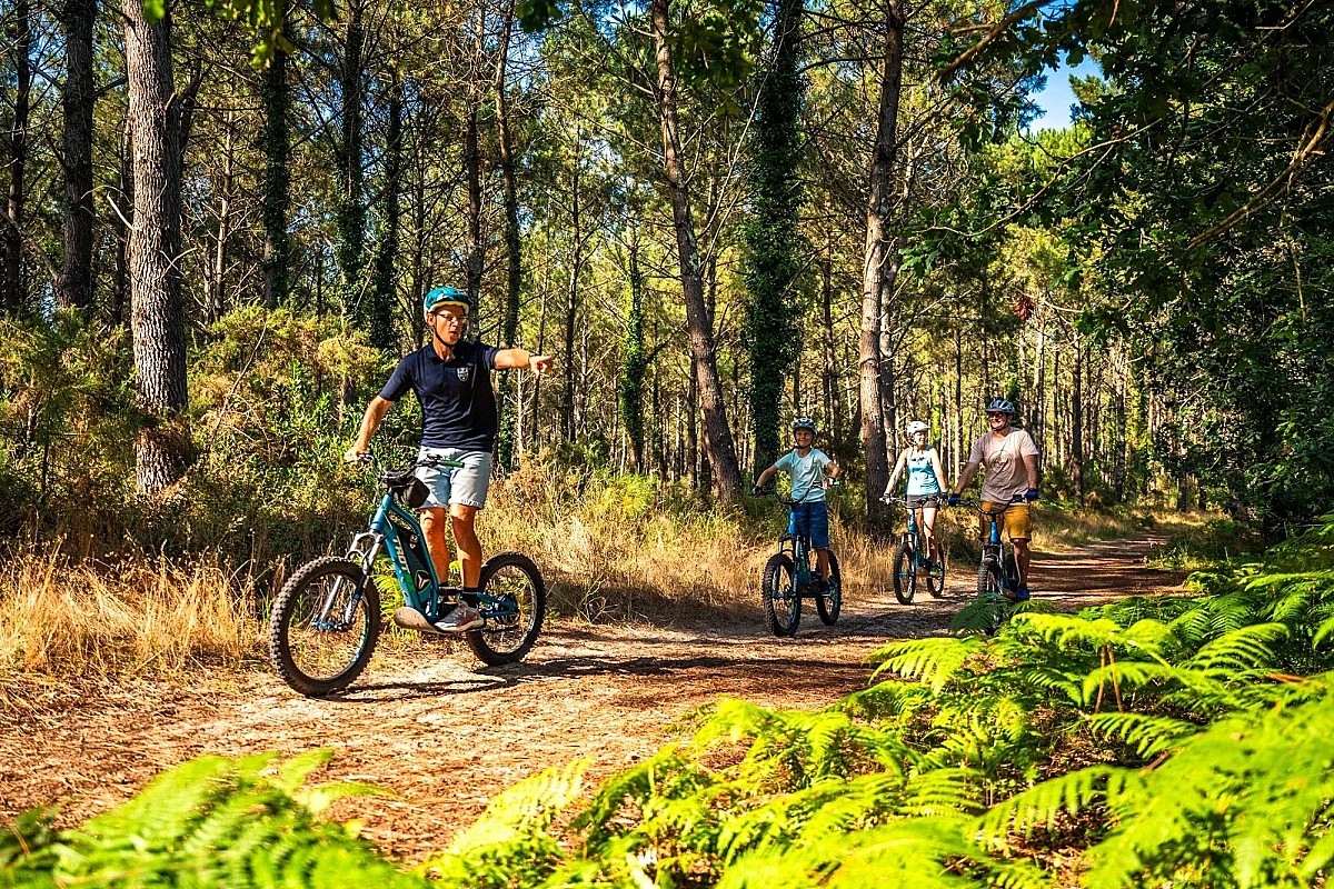 Découverte de la forêt en trottinette électrique