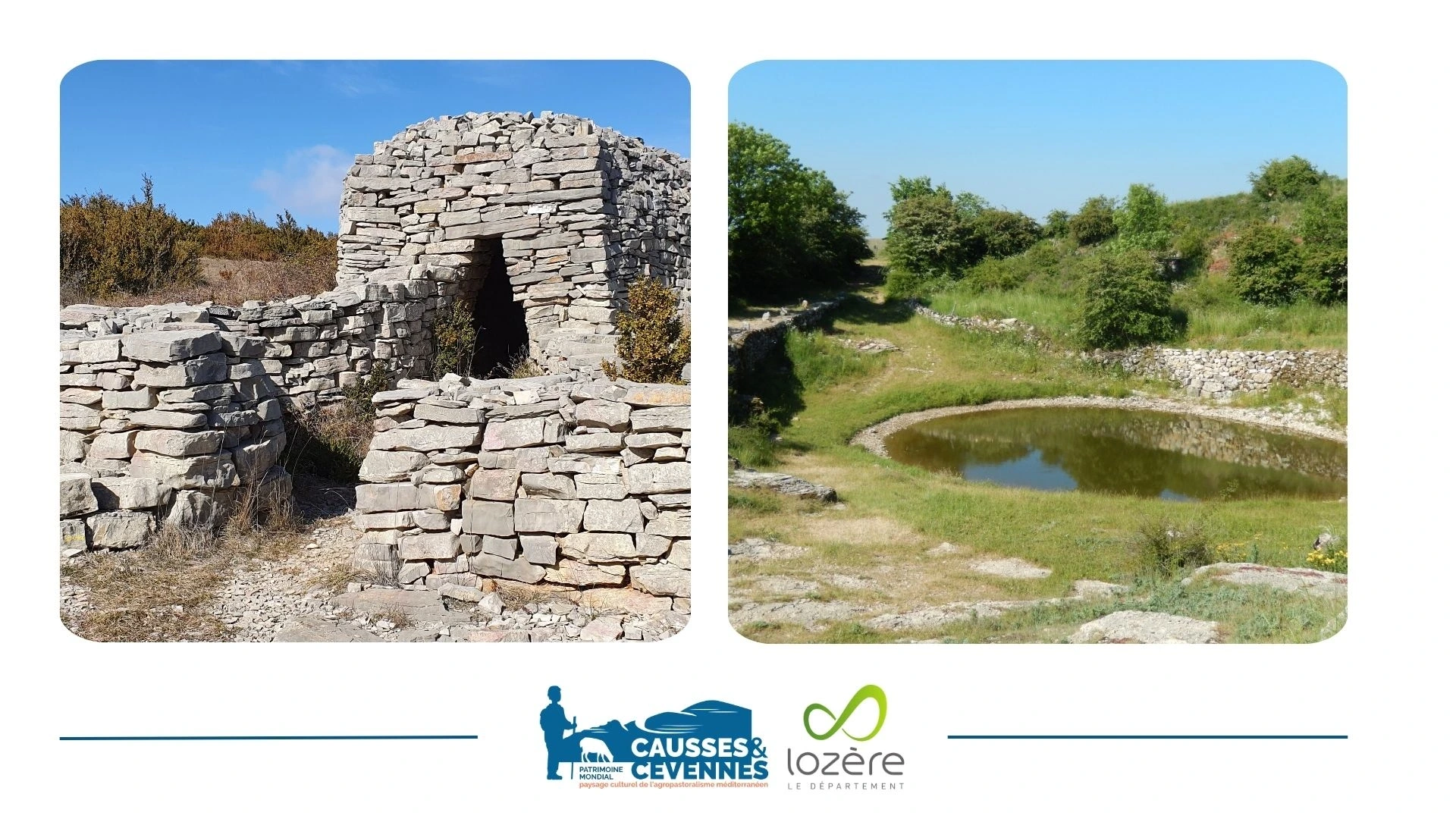 EXPOSITION LAVOGNES ET CAZELLES