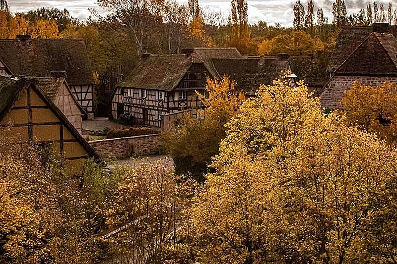Rites et croyances de la Toussaint en Alsace