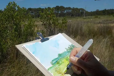 Sortie aquarelle sur les oiseaux