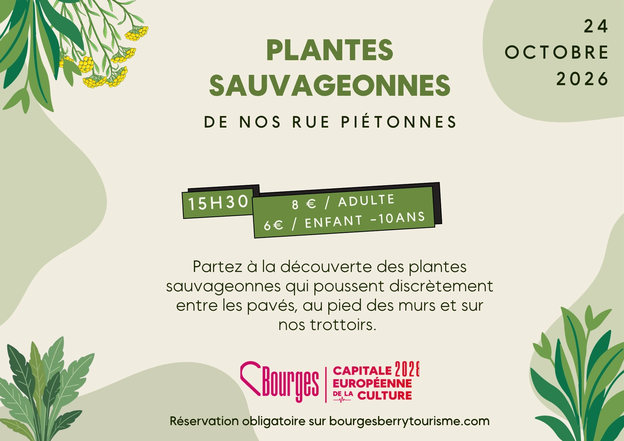 Animation : Les Plantes Sauvageonnes De Nos Rues Piétonnes