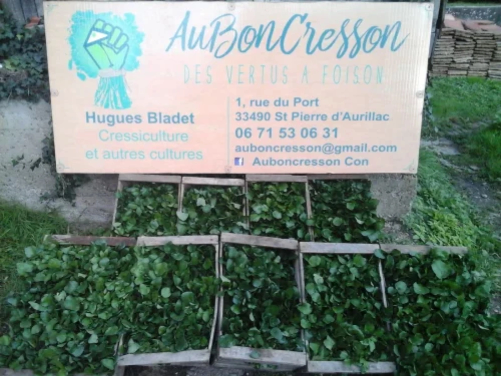 Ici, nos savoir-faire - Visite de l'exploitation "Au bon Cresson"