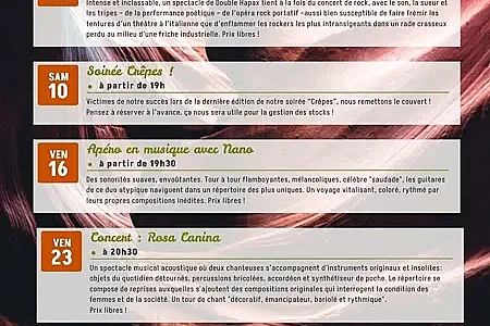 Concert : Rosa Canina