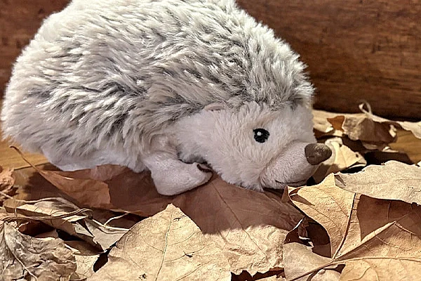Animation contée : "Le premier automne de Simon le hérisson"