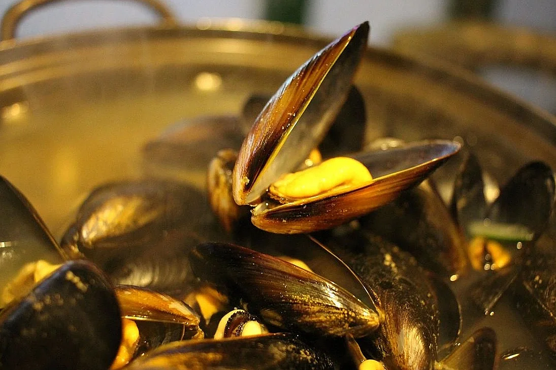 Soirée dansante moules frites