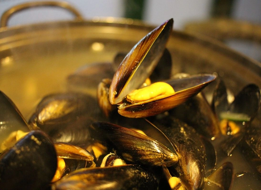 Soirée dansante moules frites