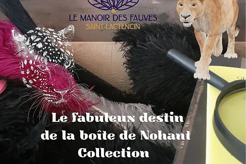 Le fabuleux destin de la boîte de Nohant