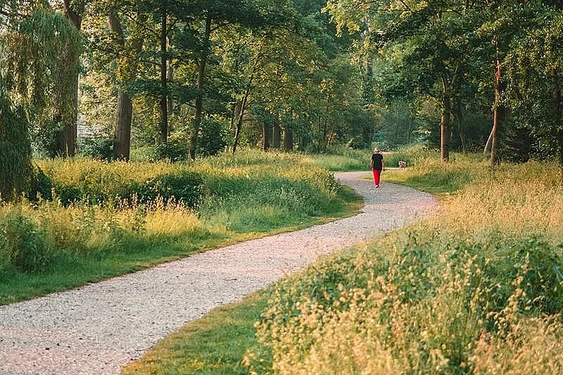 Renc'art avec Valérie Meyer : Petite promenade dans le Bas-Rhin
