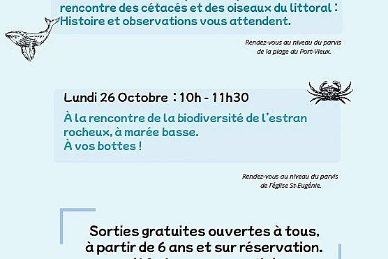 Sortie nature avec le Centre de la Mer