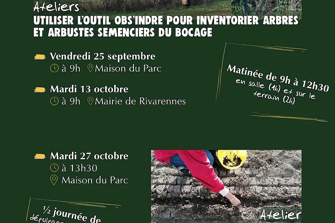Atelier semis des graines d’arbres et arbustes collectés