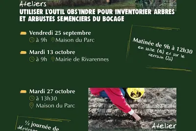 Atelier semis des graines d’arbres et arbustes collectés