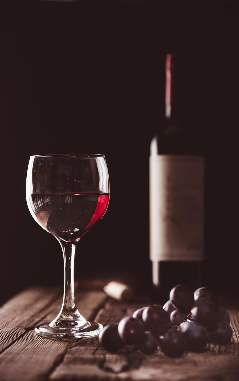Conférence "Le vin un art de vivre"