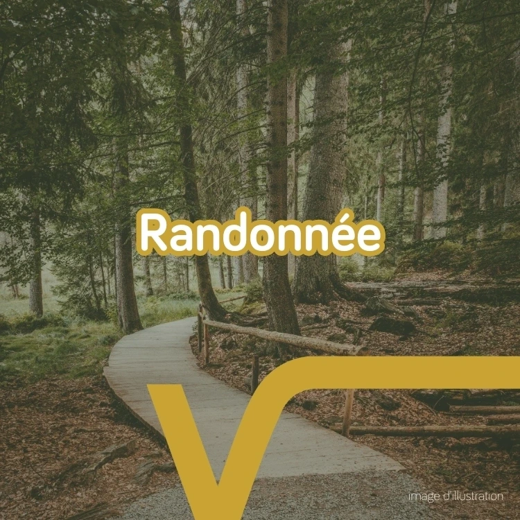 Randonnée Pédestre