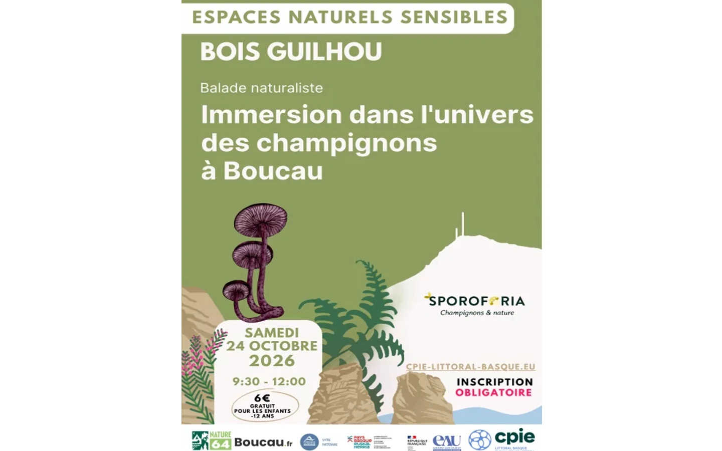 Balade naturaliste : immersion dans l'univers des champignons
