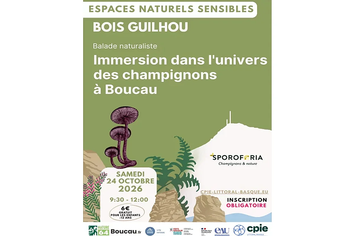 Balade naturaliste : immersion dans l'univers des champignons