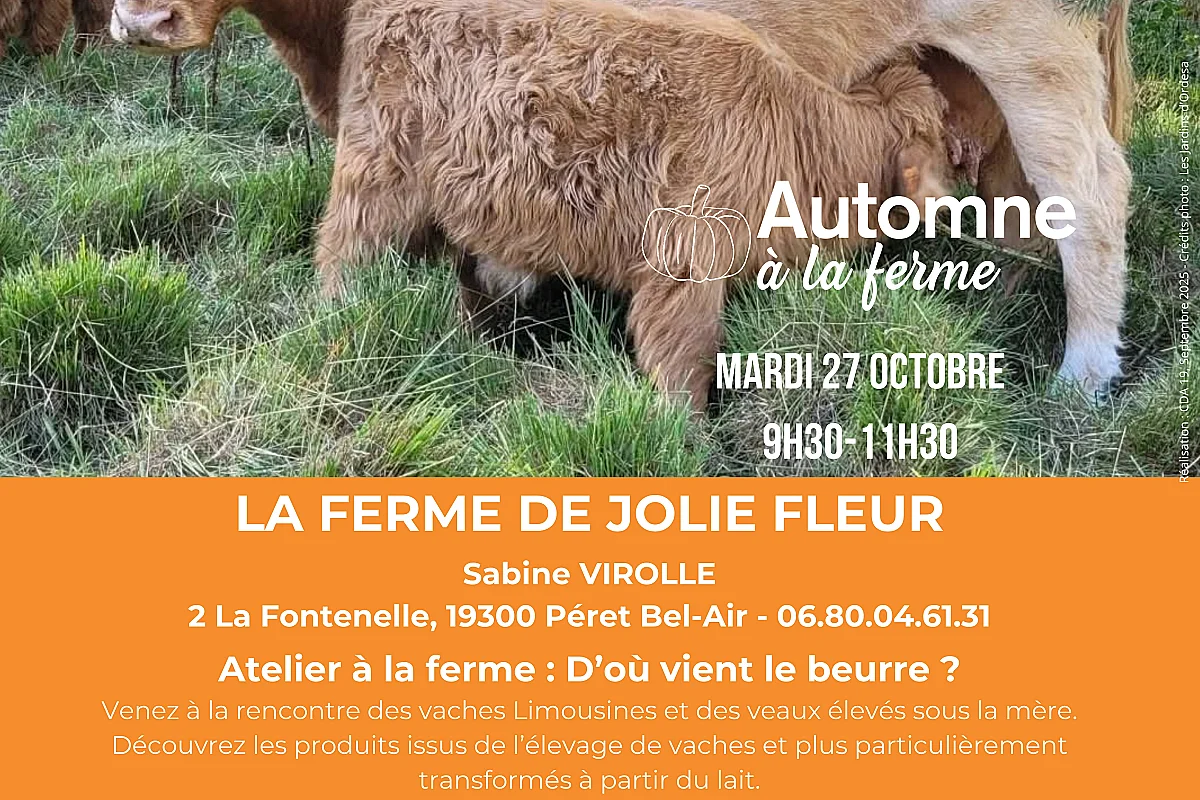 Automne à la Ferme - La Ferme de Jolie Fleur