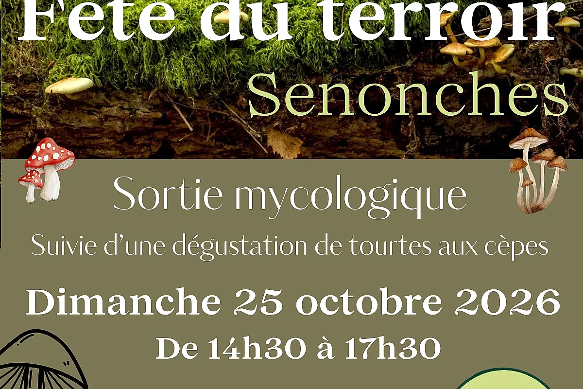 Sortie mycologique & dégustation de tourtes aux cèpes