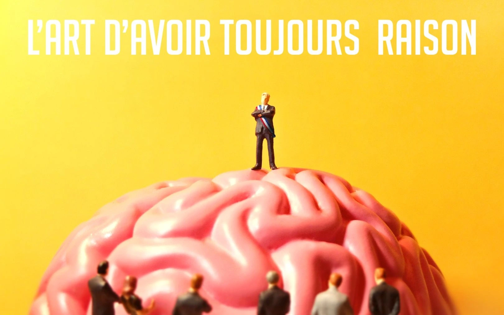 L'art d'avoir toujours raison, Sébastien Valignat - Compagnie Cassandre