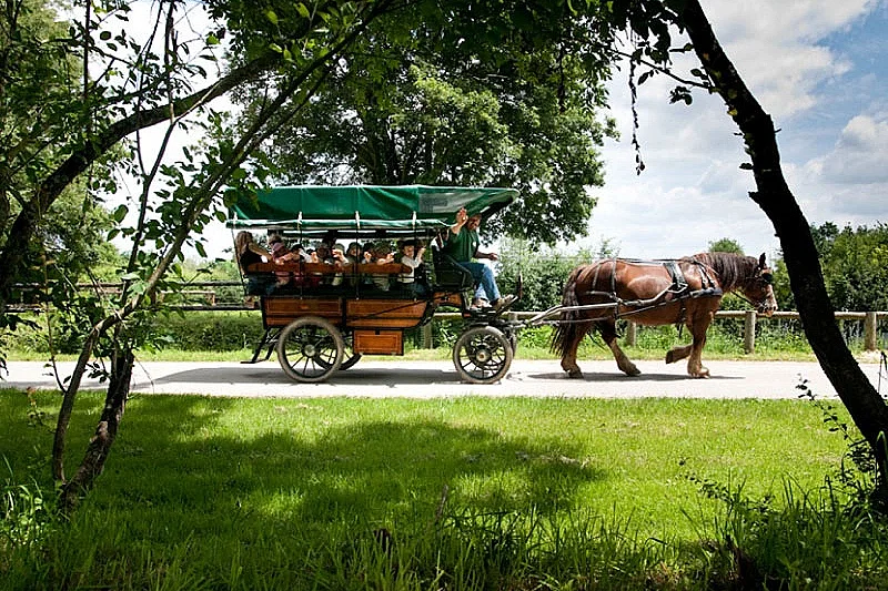 Balade en calèche