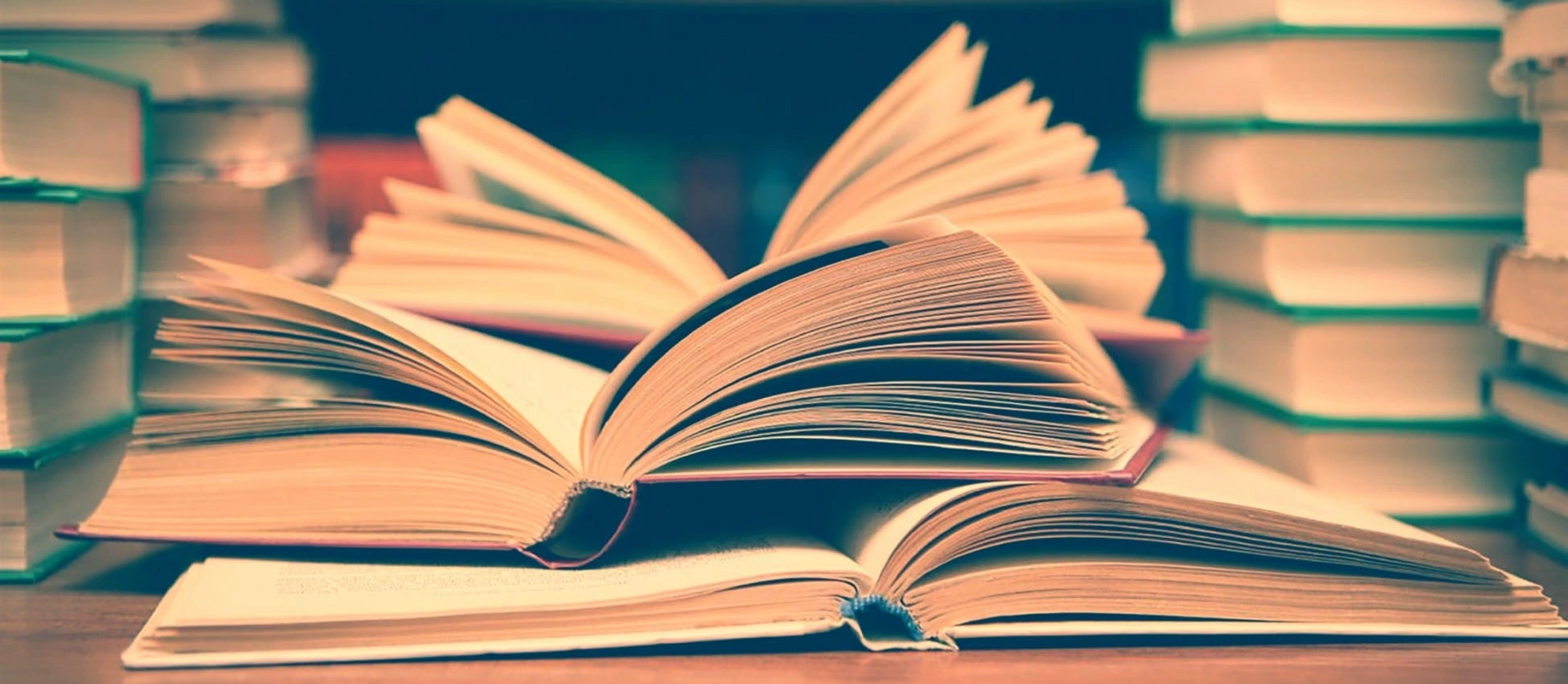 CERCLE DE LECTURES FÉMINISTES
