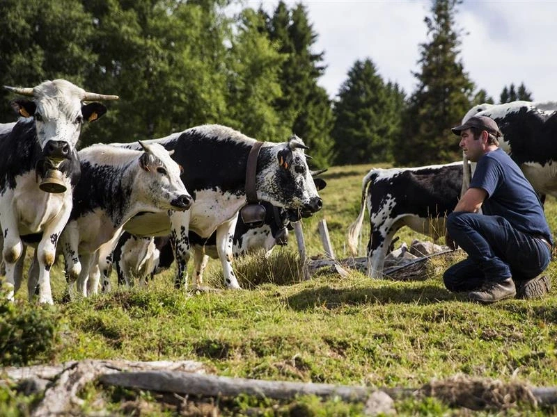 Visite à la ferme Cattenoz