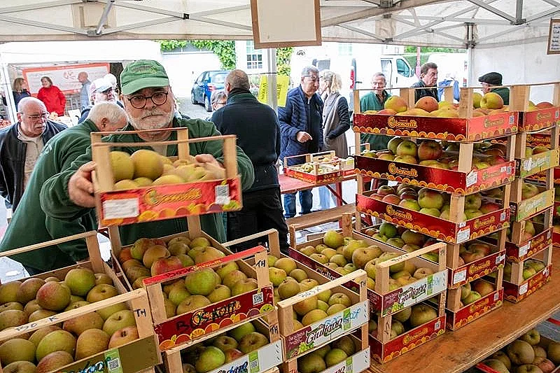 Exposition des arboriculteurs de Garche