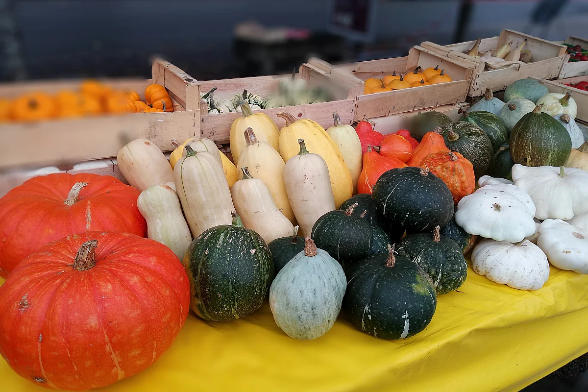 Fête de l'automne