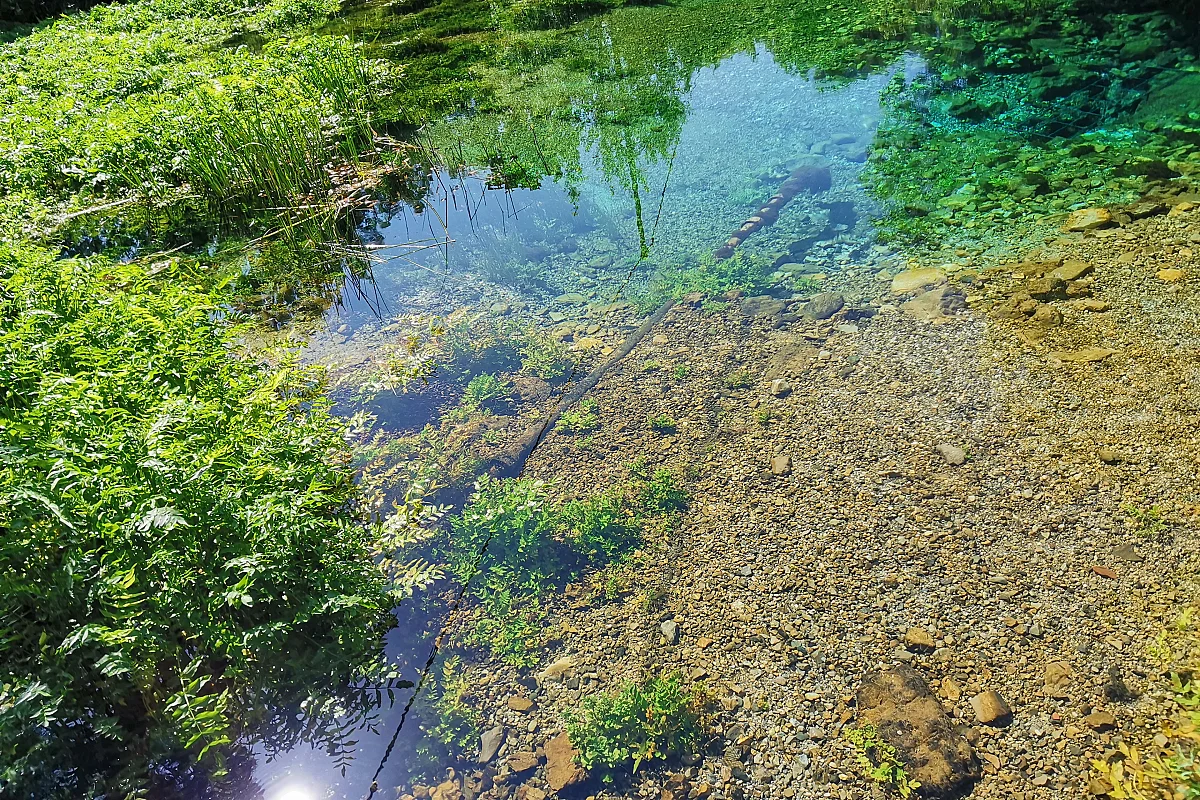 Balade au bord de la Buèges