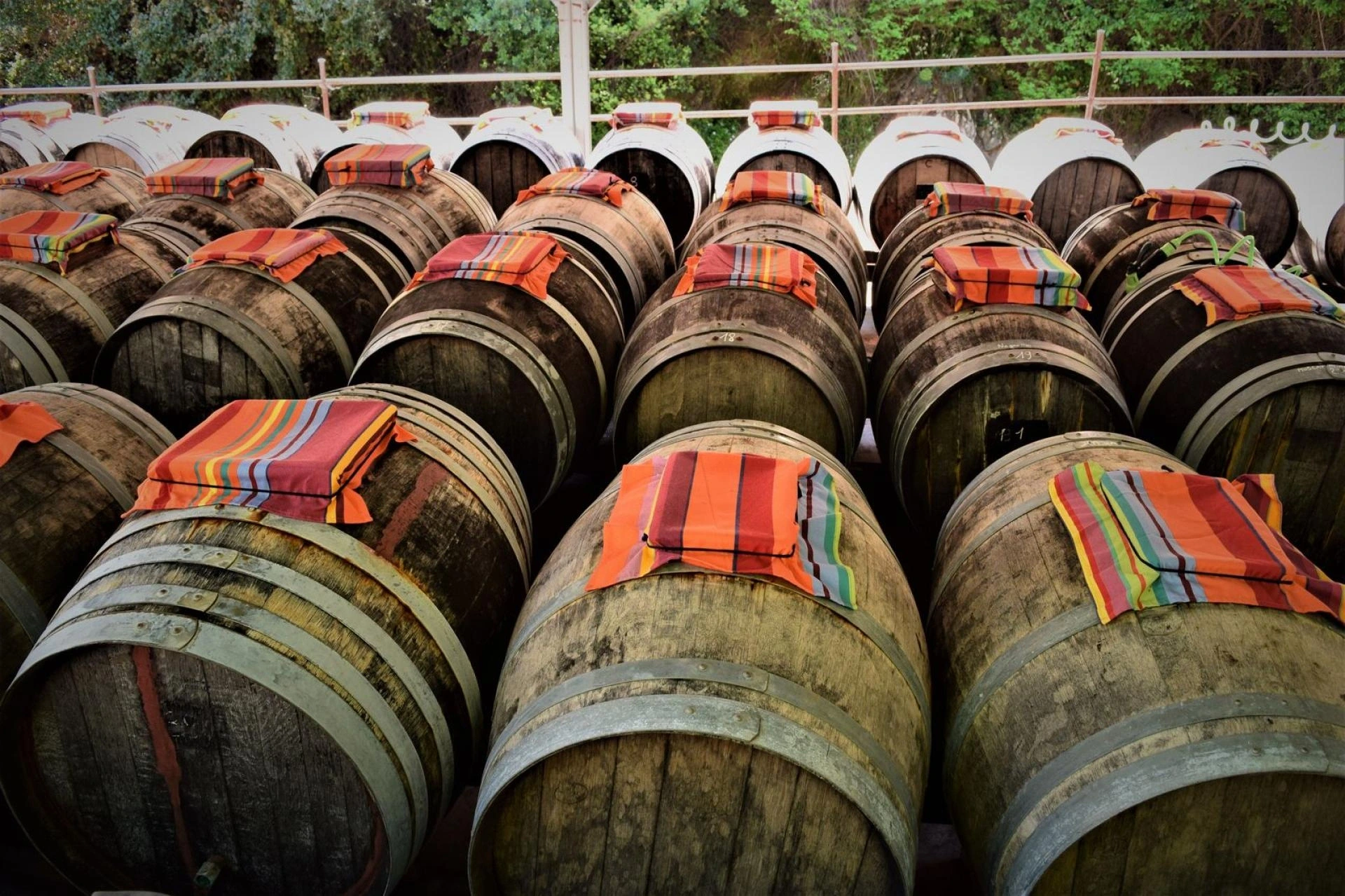 VISITE-DEGUSTATION A LA VINAIGRERIE LA GUINELLE