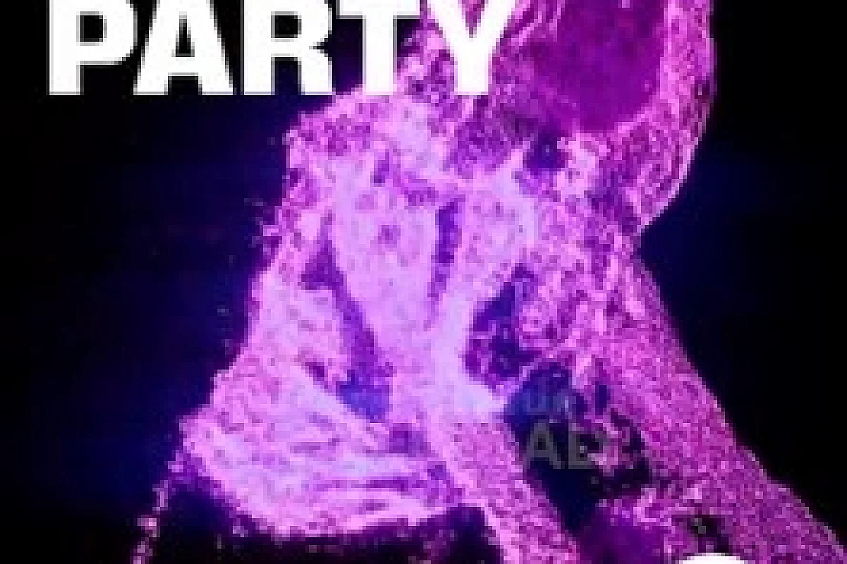 Rave L-Party