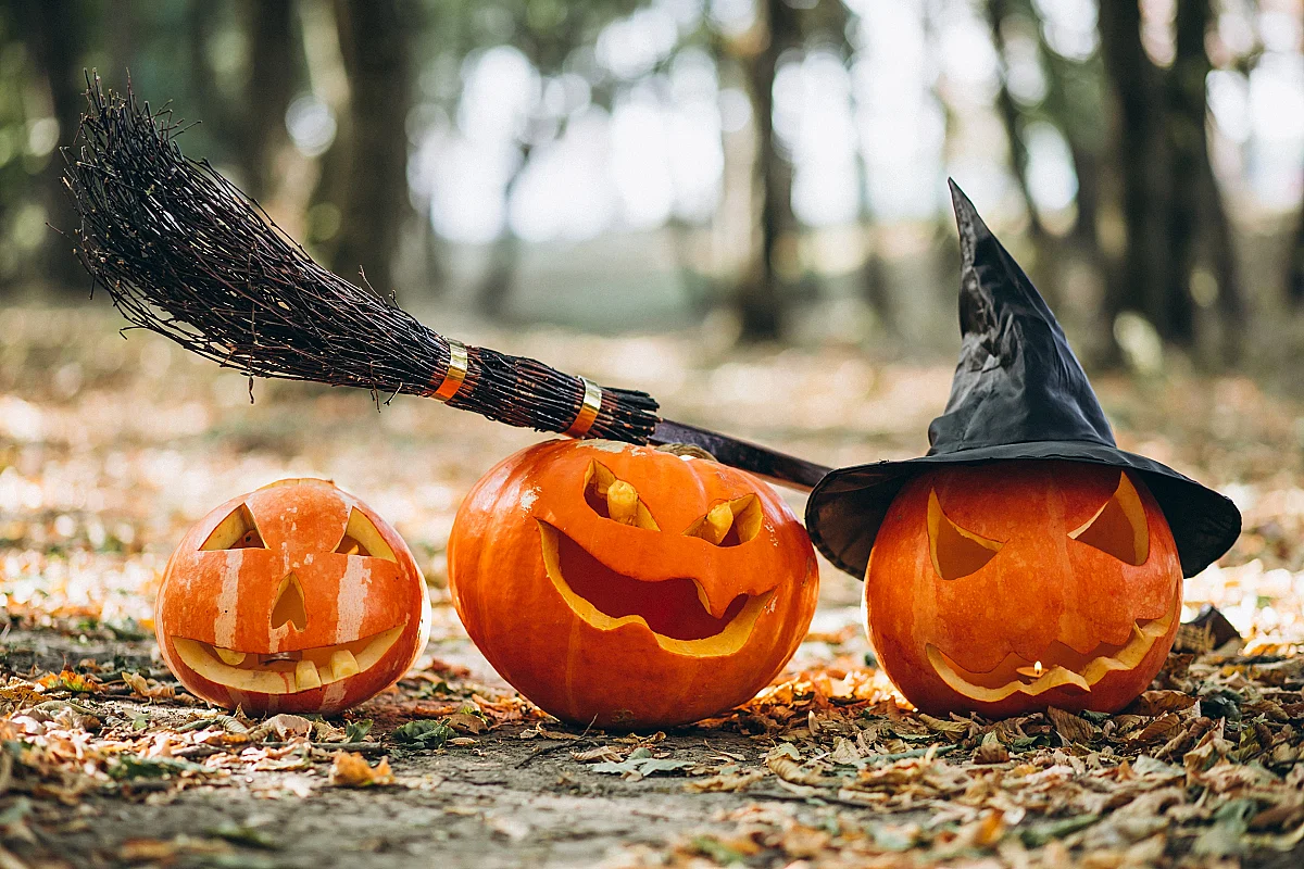 Soirée Féria d'Halloween