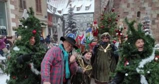 Déambulation : les sapins