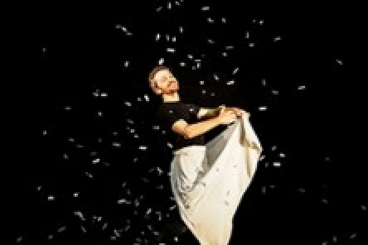 Les Paillettes de leur Vie -  Mickaël Délis