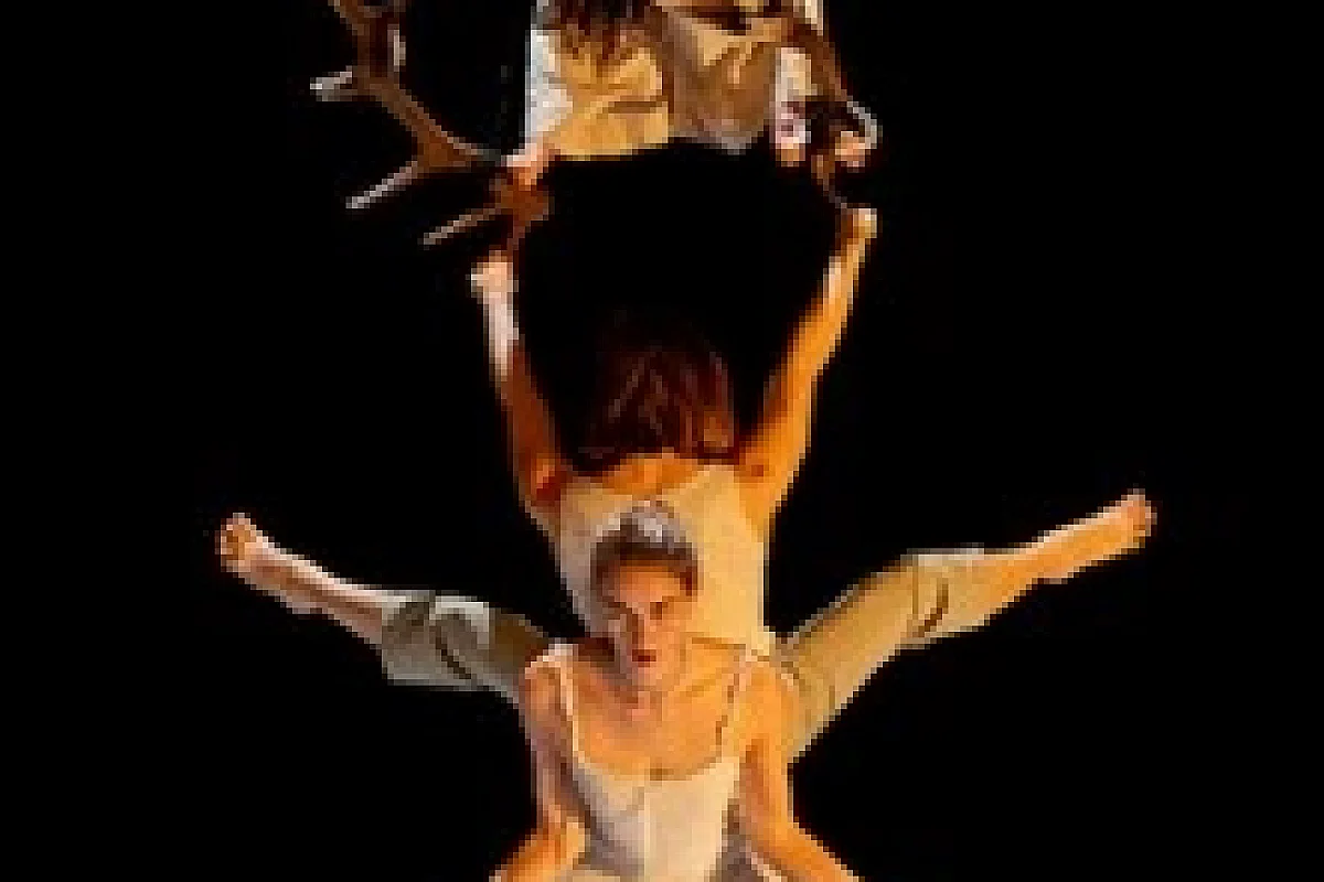 Faune - Théâtre de la Cité Internationale - Paris