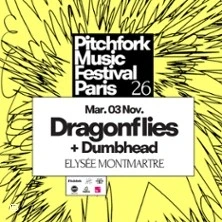 Dragonflies - Pitchfork Paris 2026