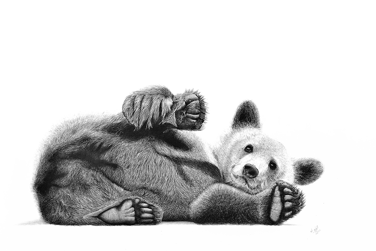 Exposition : Rêverie d'un safari immobile