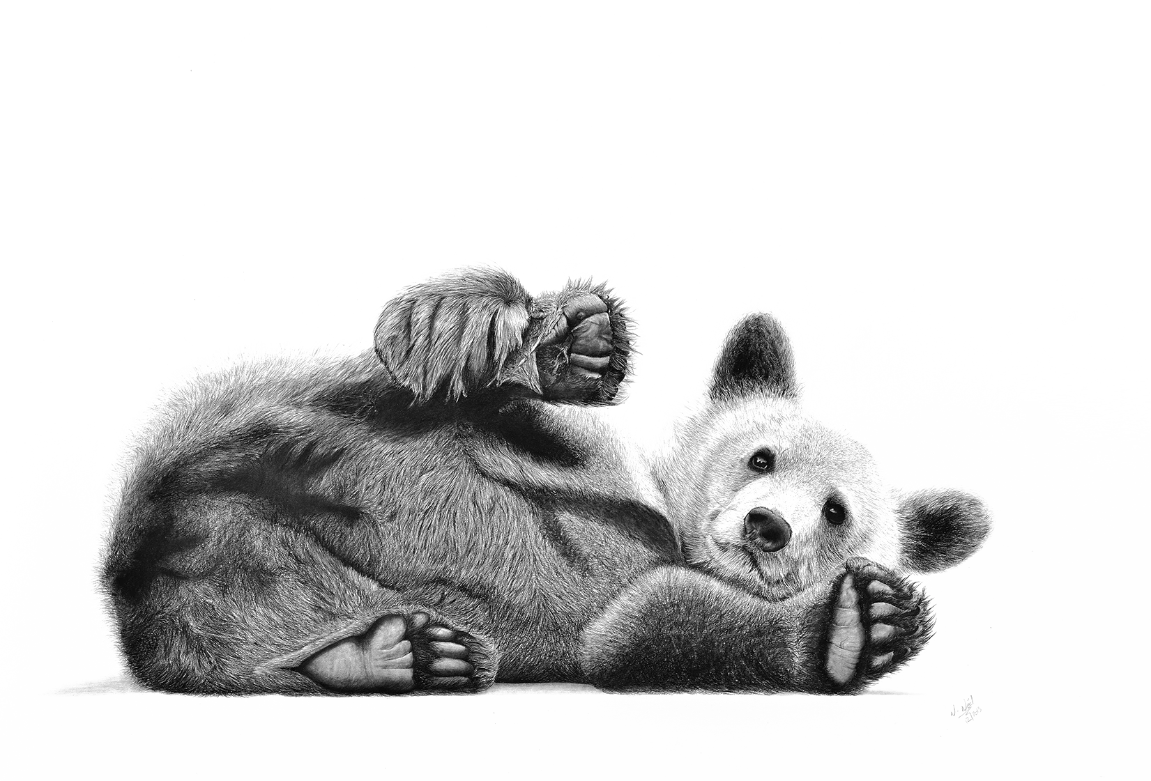 Exposition : Rêverie d'un safari immobile