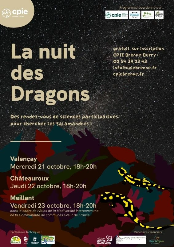 La nuit des dragons