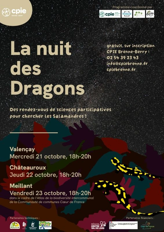 La nuit des dragons