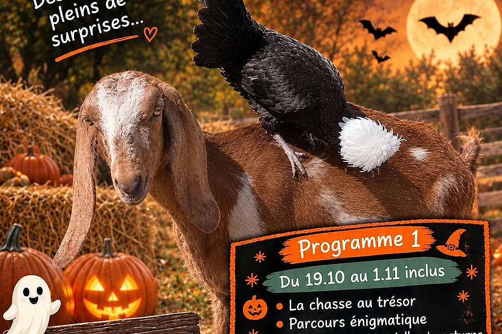 Activités Halloween au Parc des Petites Merveilles